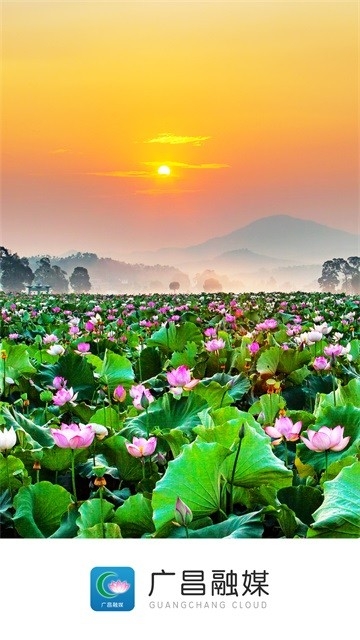 广昌融媒 截图